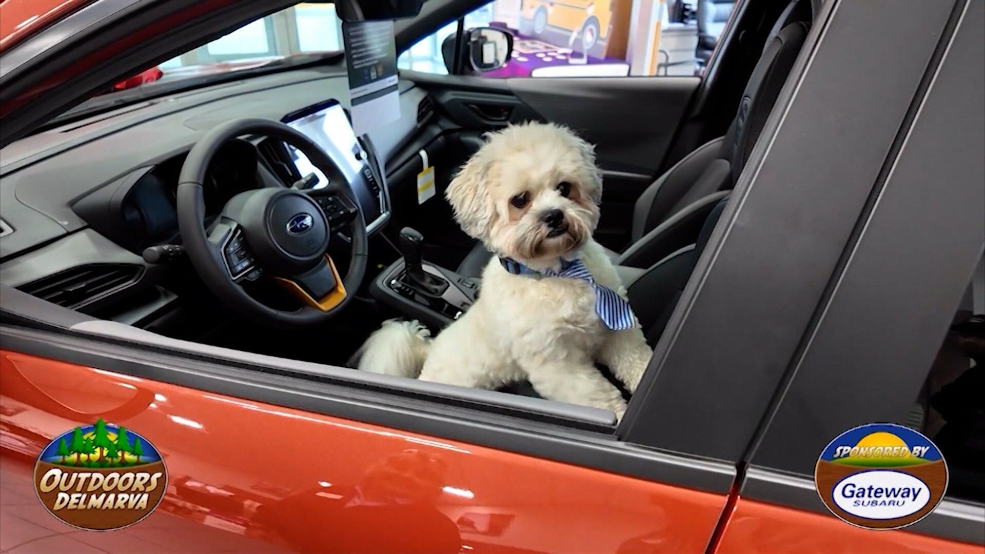 Outdoors Delmarva's Jason Lee Visits Gateway Subaru and Hears of Their Subaru Loves Pets Initiative